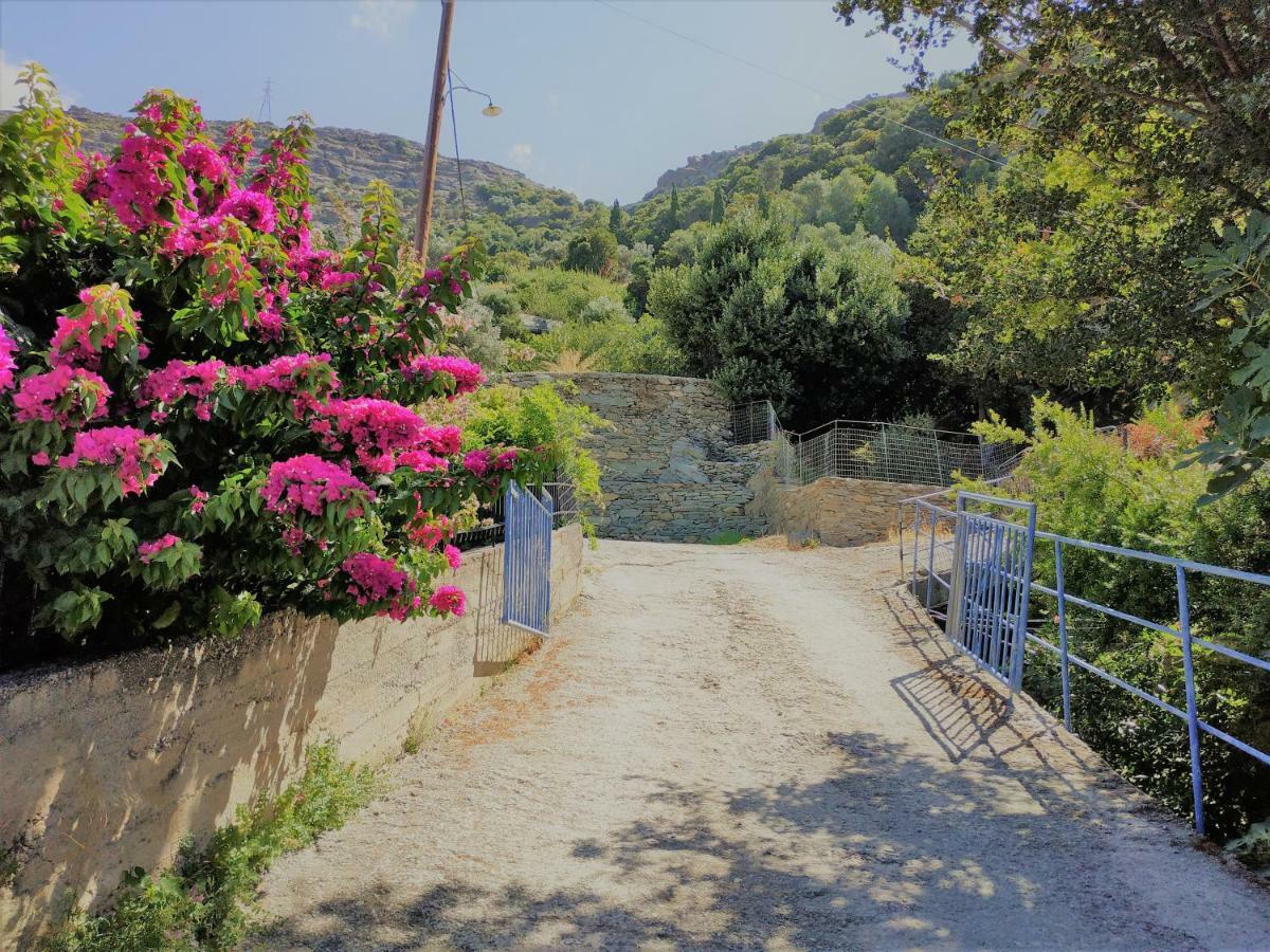 Palaiopoli View Palaiopolis (Andros)
