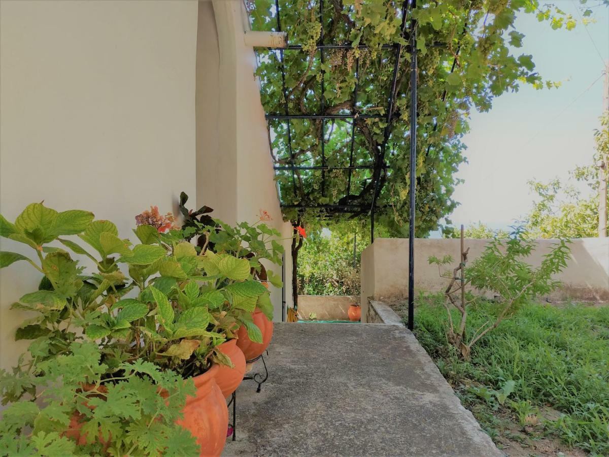 Palaiopoli View Apartment Palaiopolis (Andros)
