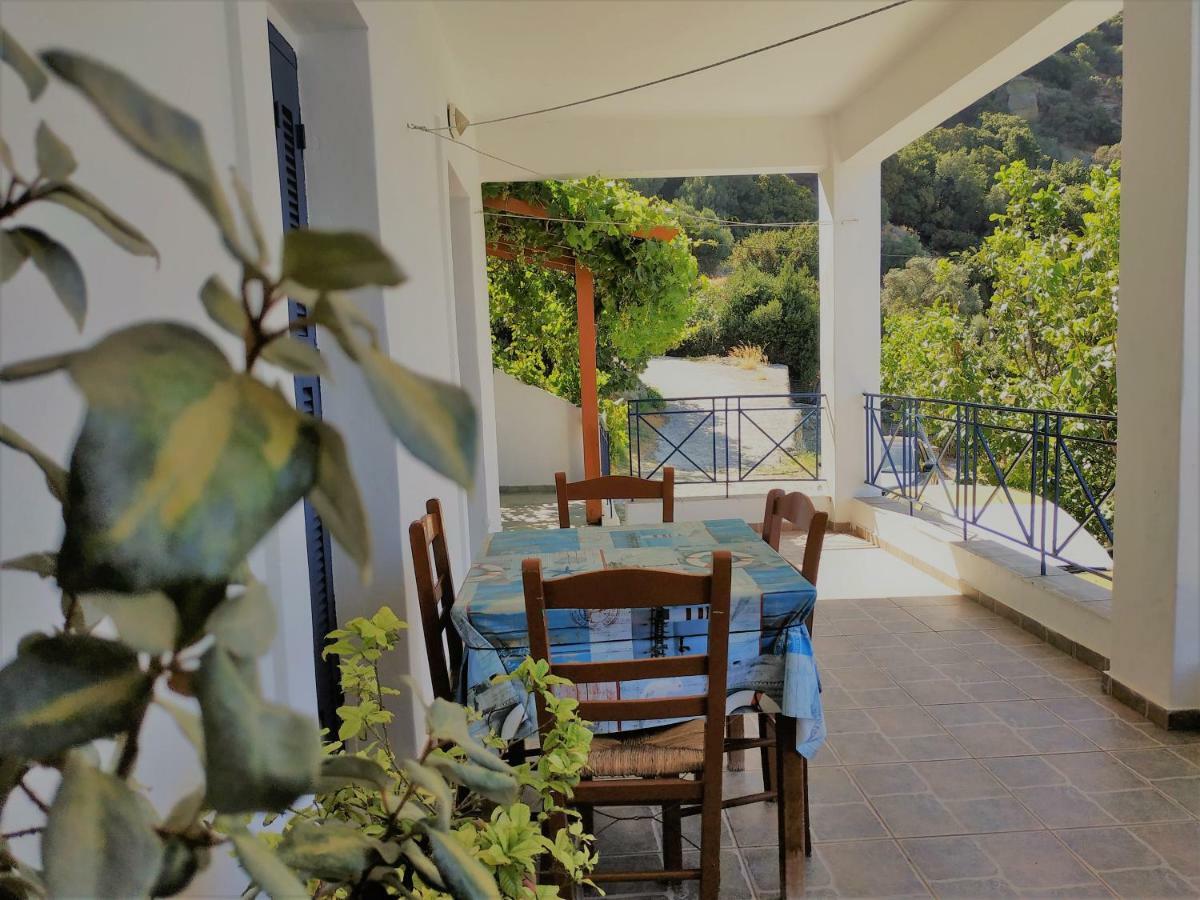 Apartment Palaiopoli View Palaiopolis (Andros)